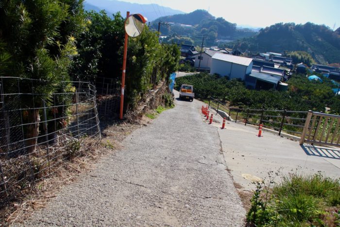 このエリアはみかん積んだ軽トラがよく走っている。一個味見したい