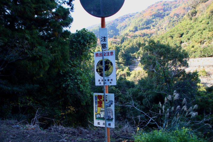 いやん、くまあ