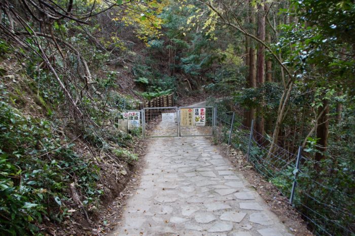 いやん、まむしにはちい