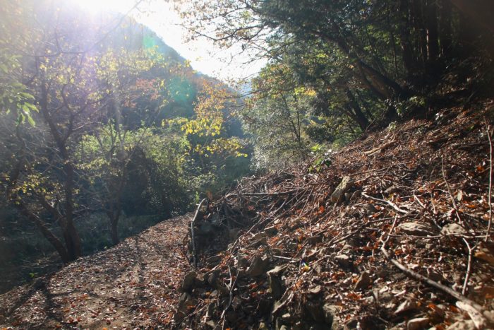 陽が眩しいけども、いろんなものに反射して綺麗、そういう心は大切にしたいものです